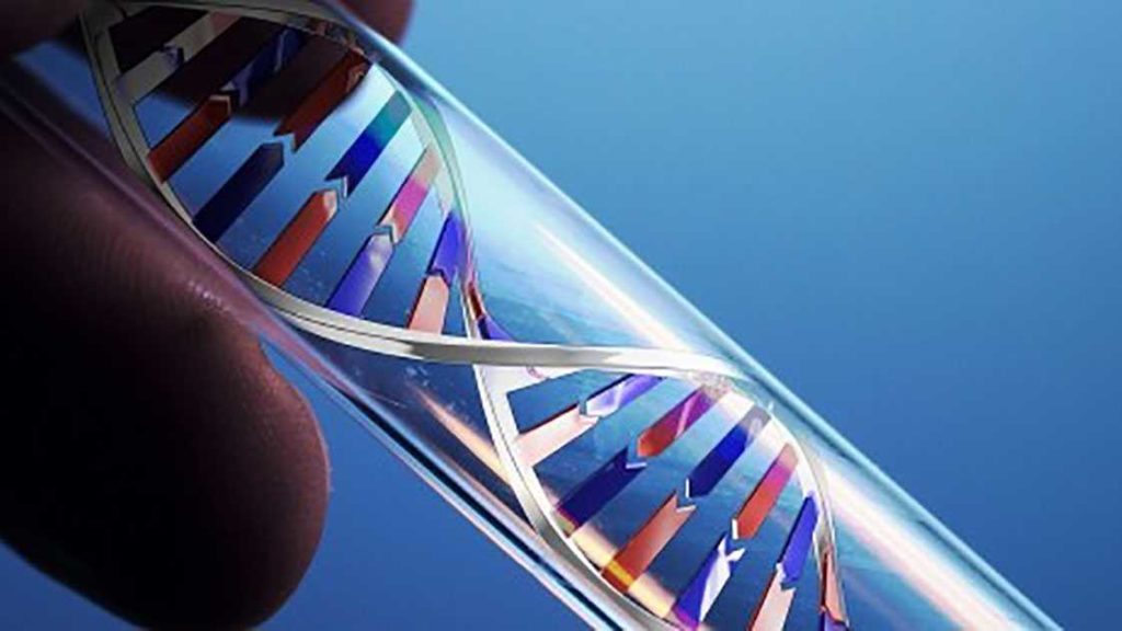 Look At Important Information of MTHFR Gene Testing Natural Way Stop