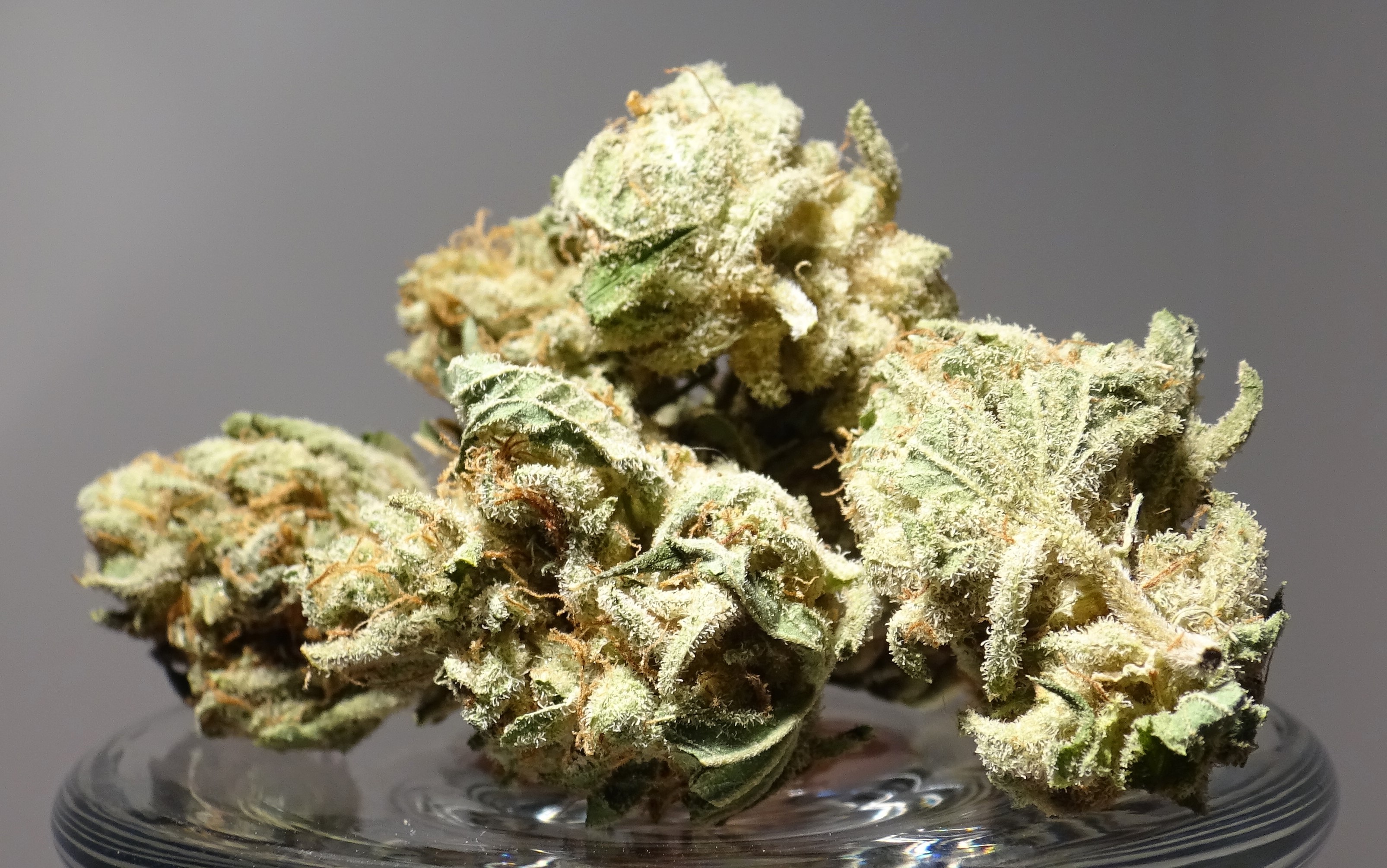 How the whole process of ordering marijuana from online dispensaries works?