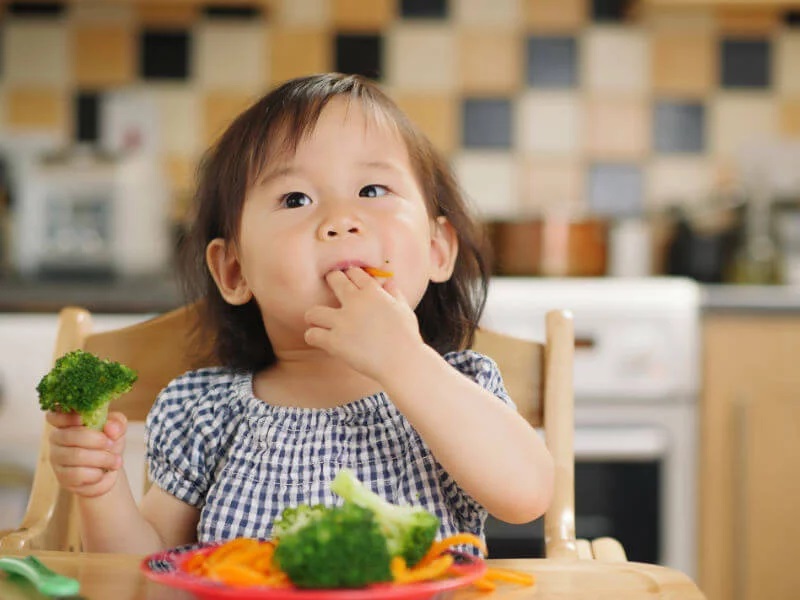 Introducing New Foods to Picky Toddlers