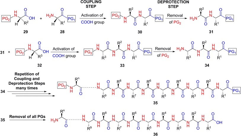 Things to know about peptide synthesis