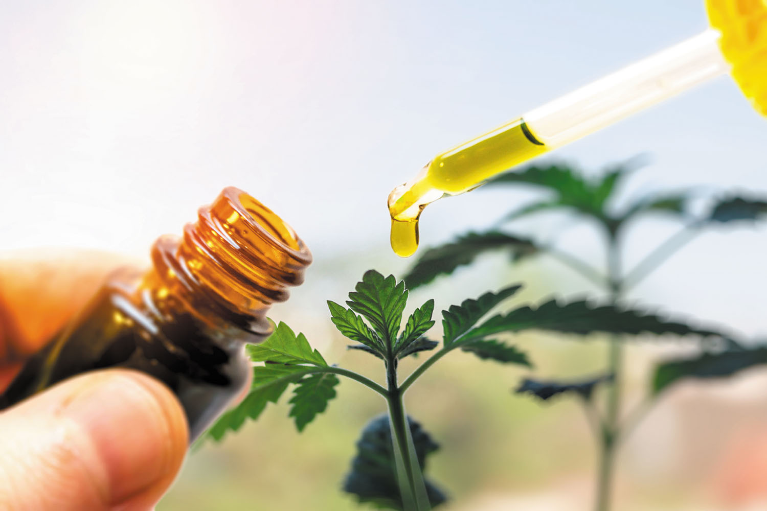 Use CBD oil to alleviate pain