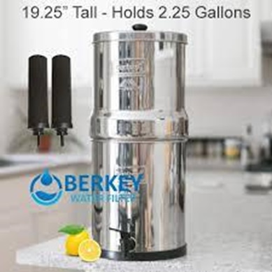 Do Berkey water purifiers remove Fluoride?