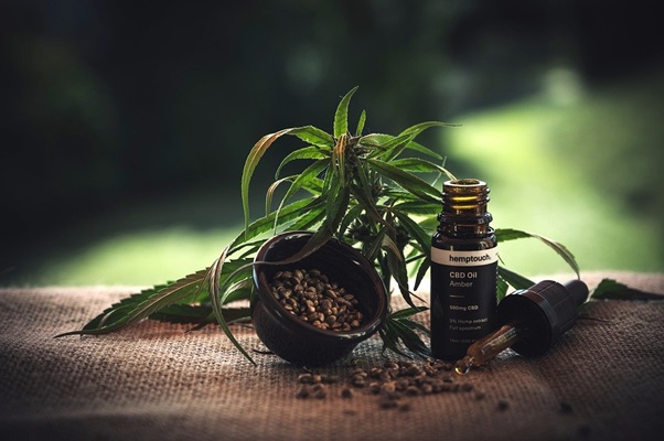 4 Things to Look for When Buying CBD Oil Online