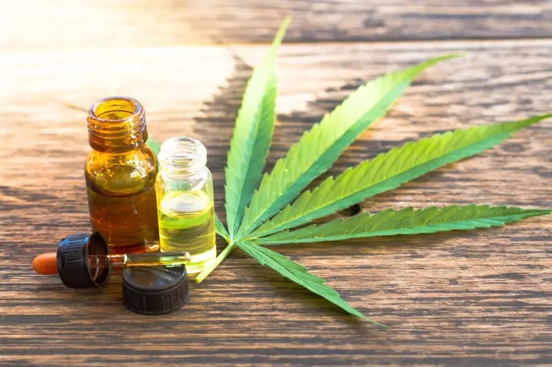 CBD for Cancer: Can CBD oil cure Cancer in Humans?