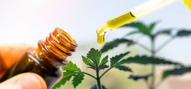 Is using CBD oil make an individual high?