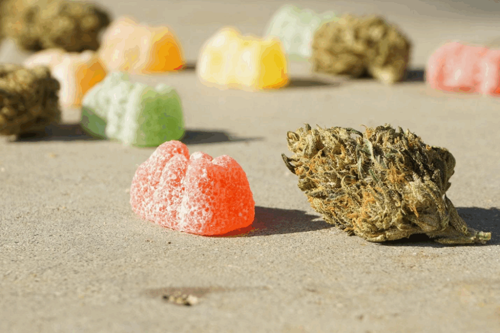 Why Delta 9 Gummies Feel Different from Smoking Cannabis