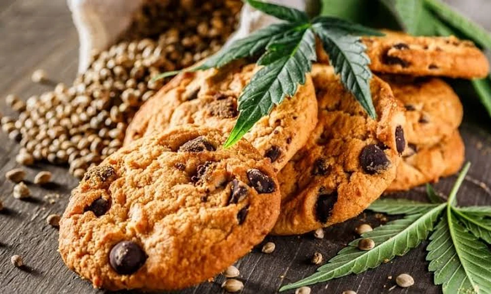 Best Hemp Edibles for Slow Onset: 5 Products Tested